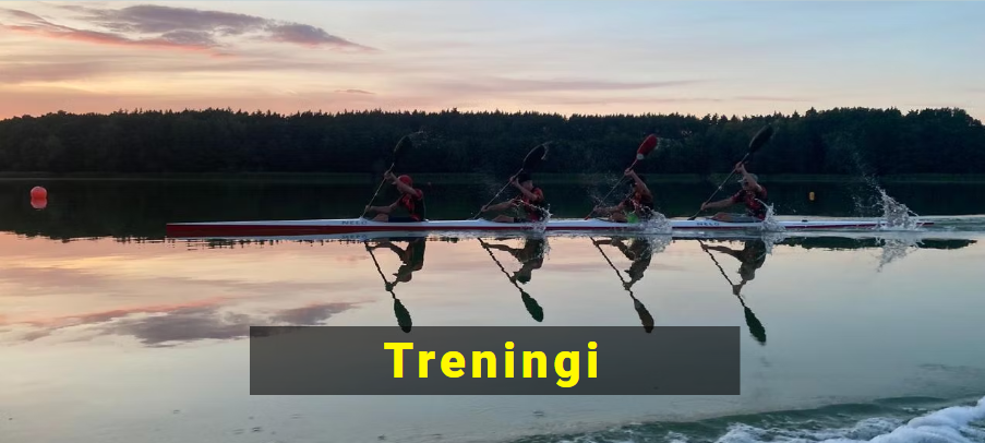 Treningi
